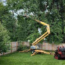 Leaf Removal in Country Walk, FL